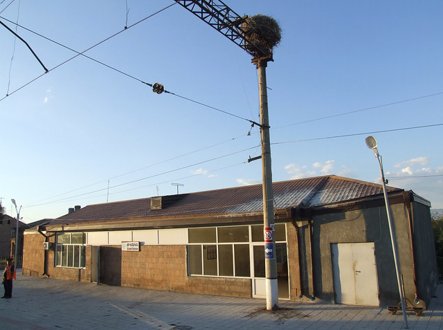 Stork's nest at the Sovetakan railway station, 05.09.2013.