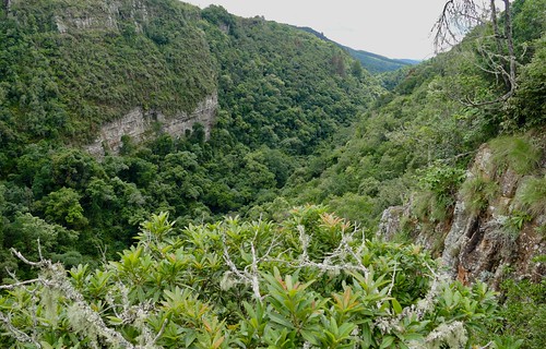macmacfalls sabie macmac gorge landscape