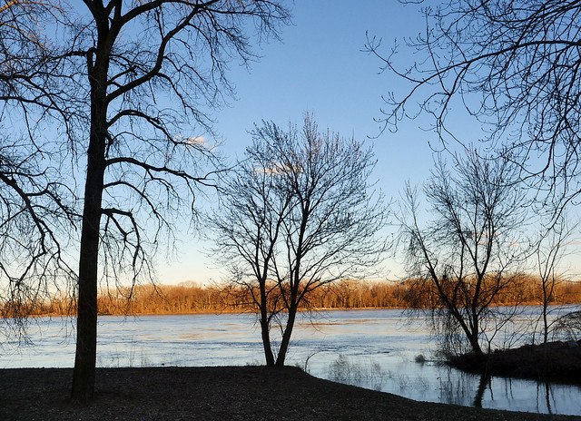 Through the trees the Missouri River is rising...