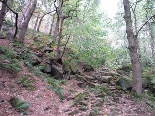 Steep Bouldery Path in Oak's Wood SWC Walk 322 - Grindleford Circular (via Chatsworth House)