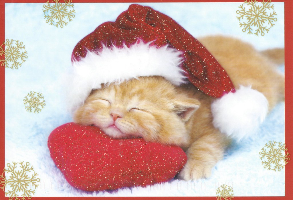 Christmas Kitten Glitter Postcard