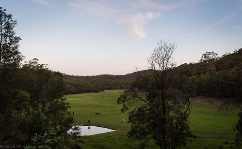 landscape sunset twilight murraysrun vallley paddocks horses sky wollombicreekvalley ne nsw australia laguna