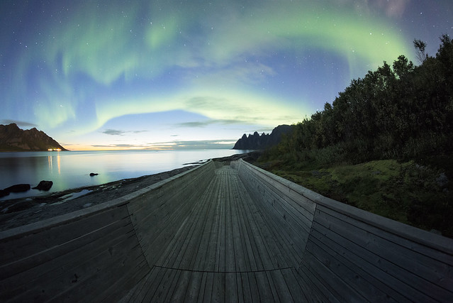 Arc of Lights - Okseneset - Senja - Norway