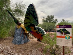 Phoenix Zoo 11-04-18 - 30 of 41
