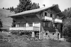 2012 Bergtanne Historisches