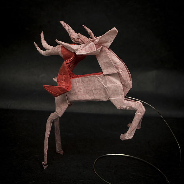 IOIO 2018 - White Deer With Red Scarf