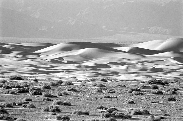 Mesquite Dunes, Death Valley, CA