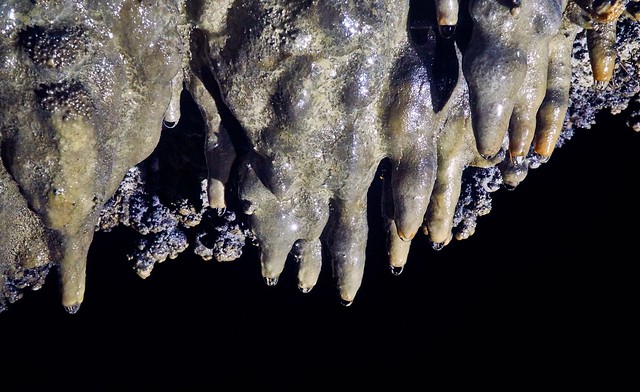 Stalactites, Shuanghe Cave System, Suiyang County, Northern Guizhou, China