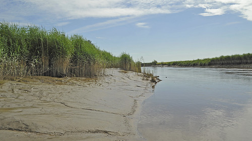 nature landscape river riverjümme lowtide niedrigwasser schilf schlick mudflat tidewaters eastfrisia ostfriesland leer jümme