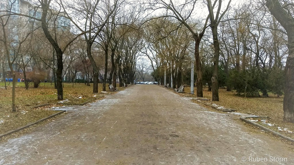 Park in Odessa