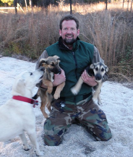 man fur mutts dogs canines rescue woods snout face pups puppy puppies outdoors safe labrador retriever camo sc carolna saviour savior