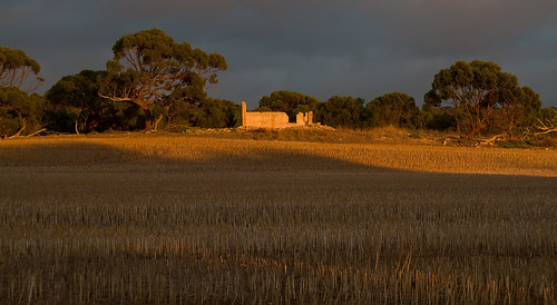 australia natur natura natural nature naturaleza naturephotography colour color colourful outdoor outdoors outside eos canon sunlight exposure flickr landscape earth environment environmental environmentalphotography sunset sunrise contrast red green yellow blue black white scene scenery cloud clouds sky scenic weather holiday view country countryside orange building architecture stone brick buildings shadows strathalbyn southaustralia australiasouthaustralia