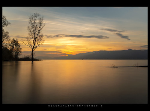 L'albero al tramonto by iLaura_, Sopra tutti loro calava il tramonto e l’aria, chissà come, sapeva di liquirizia.
(Giorgio Fontana)
<