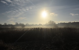 Misty morning on Lawson's wetland