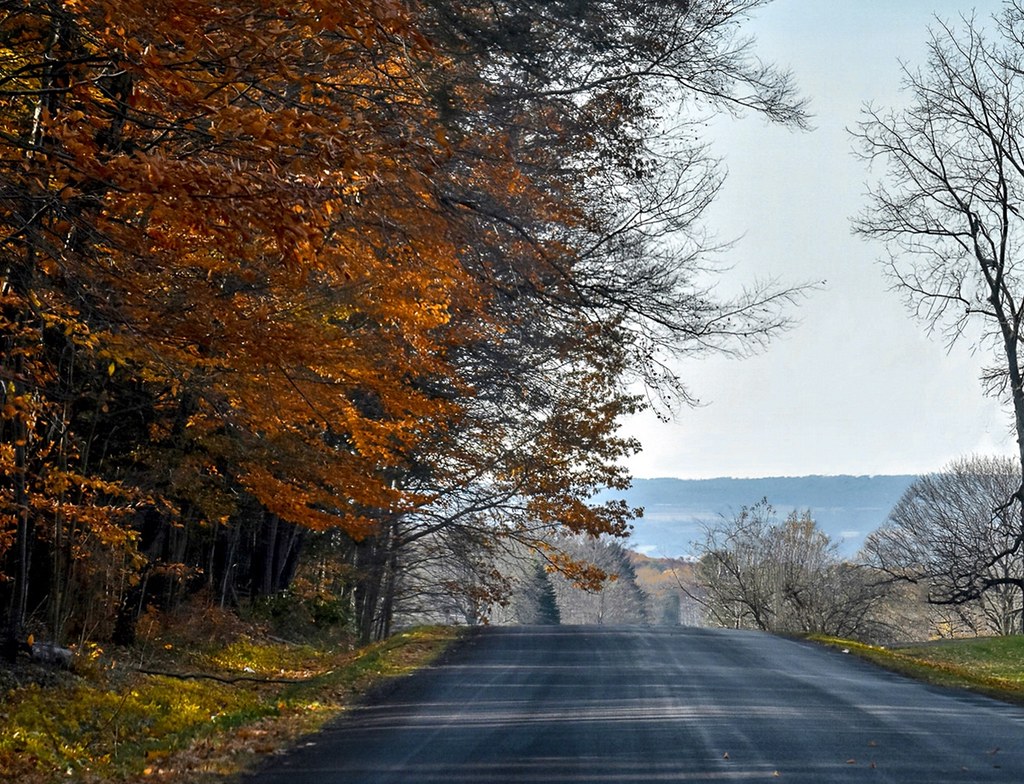 The Way Home (Finger Lakes, Upstate, NY)-HSoS!