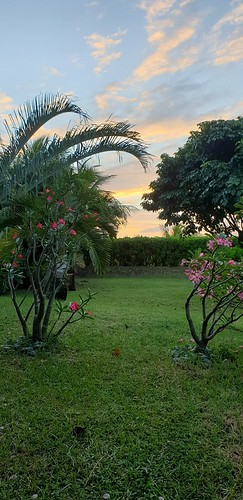 Carribean sunrise #Martinique #lefrancois #sunrise #earlymorning #carribeancolours #carribeansunrise #anewday #mondayfeelings #travel #home #beautyofnature #carribeanbeauty #photography photo credit I by isabella.cabre, sunrise anewday carribeansunrise earlymorning carribeanbeauty home lefrancois beautyofnature mondayf