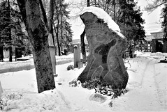 El Cementerio Novodévichi (en ruso Новодевичье кла́дбище, Novodévichiye kládbishche) es el cementerio más famoso de Moscú