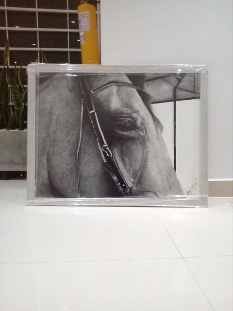 Retrato de caballo