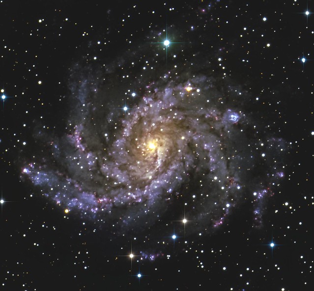 NGC 6946 The Fireworks Galaxy