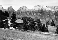 2012 Bergtanne Historisches
