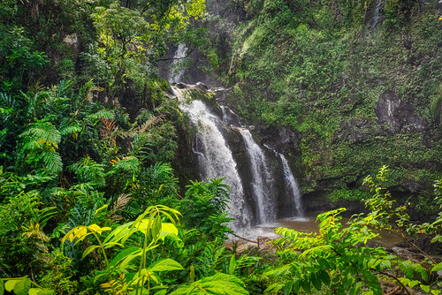 roadtohana hawaii hi maui usa united states waterfall lush forest water nature landscape rainforestr falls upperwaikanifalls threebears waikani