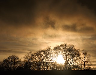 Sepia Sunset Silhouettes - Coatbridge
