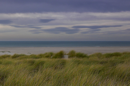 beach dune sea shore cloud landscape hollendnetherlands nature hague