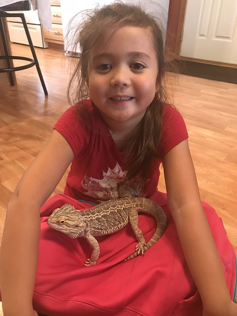 Carly and Jax the Bearded Dragon