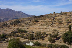 Landscape: abandoned windmills and agricultural terraces outside Pyrgos