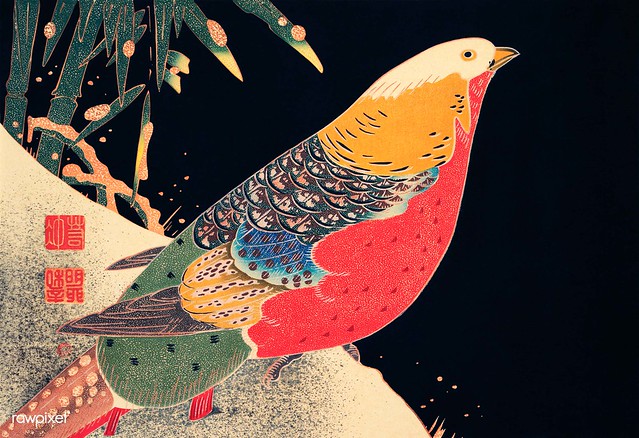 Golden Pheasant in the Snow (ca. 1900) illustration by Ito Jakuchu. Original from The MET Museum. Digitally enhanced by rawpixel.