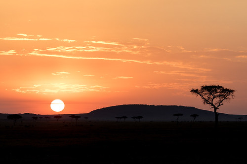 serengeti sunset tanzanianarokcountykenyatz