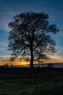 Hollingbourne Meadows sunset 8