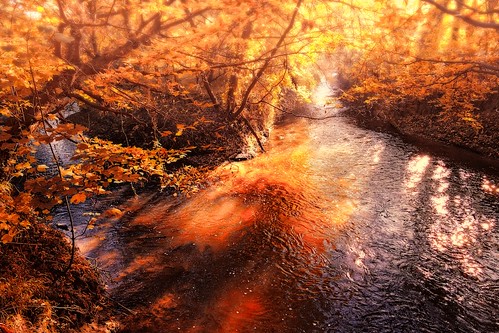 trampelman type116 leicaq autumn herfst herbst strijklicht limburg nl nederland netherlands water rivier bruin sunlight sunrise meerssen