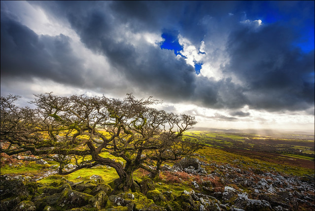 Dartmoor