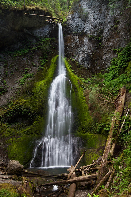 Marymere Falls, Olympic National Park, Washington, USA