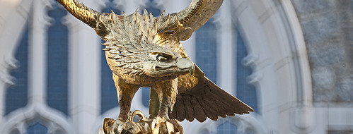 The golden eagle in front of Gasson Hall.