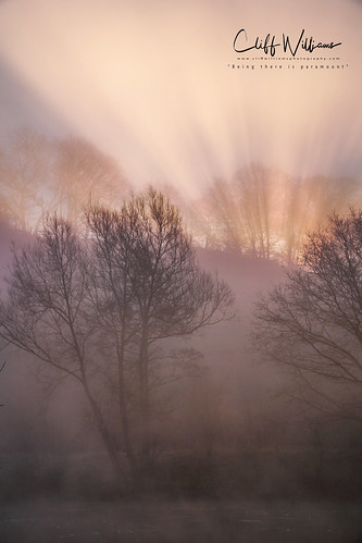 worcestershire riversevern dawn sunrise mist golden rays light ethereal beauty cliffwilliams photograph sonyilce7m3 sony trees glow