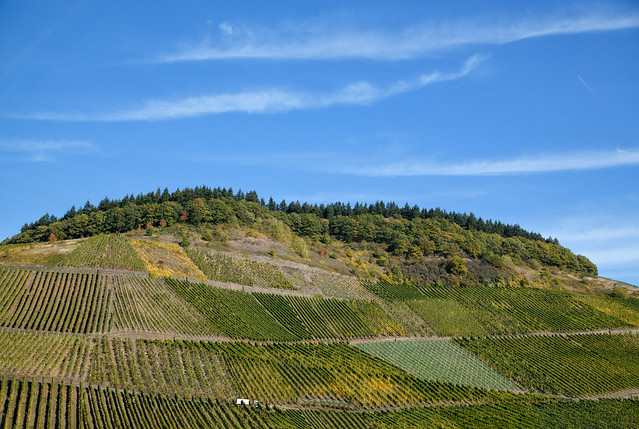 German vineyards