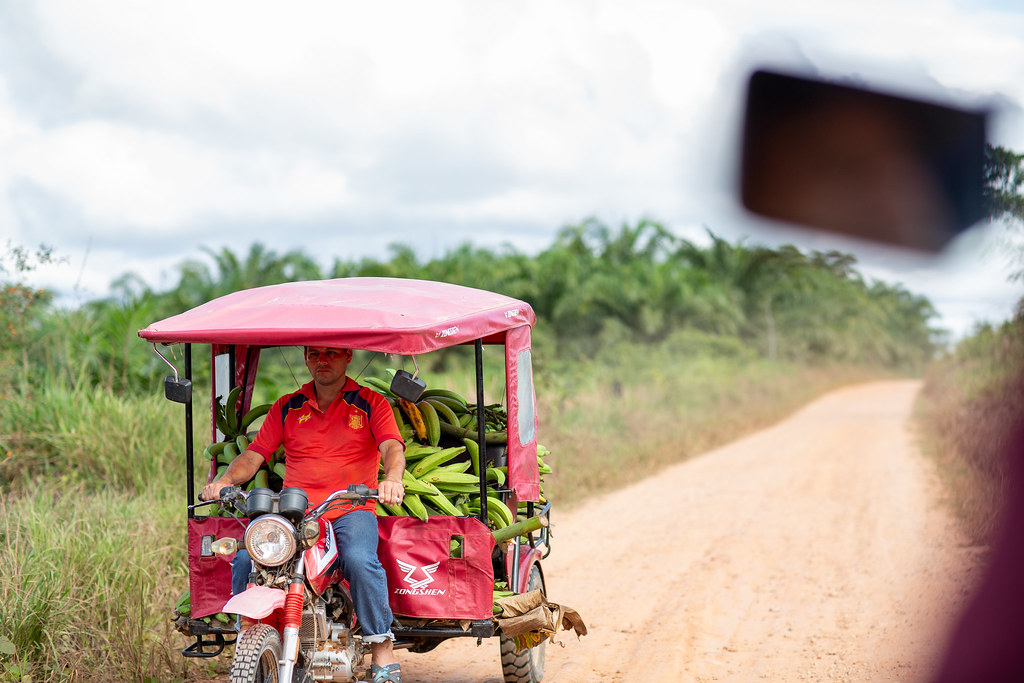Transporting bananas. Photo by Marlon del Aguila Guerrero/CIFOR cifor.org forestsnews.cifor.org...
