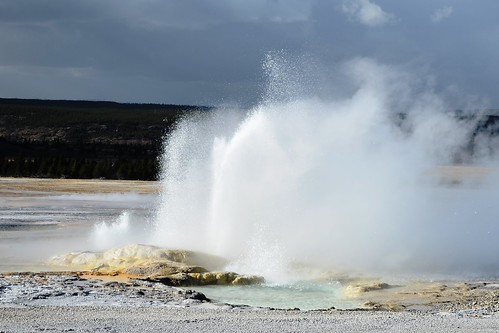 A view of eruptions of Clepsydra and Spasm Geysers from a distance of 150 yards (approx.) on Fountain Paint Pot trail, Yellowstone National Park, Wyoming, USA- 7 | by biswarupsarkar72