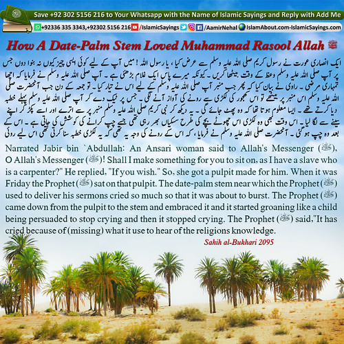 How-A-Date-Palm-Stem-Loved-Muhammad-Rasool-Allah-pbuh | by aamirnehal