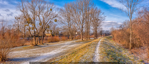 winter path trees bluesky snow landscape frydekmistek panorama grass nature