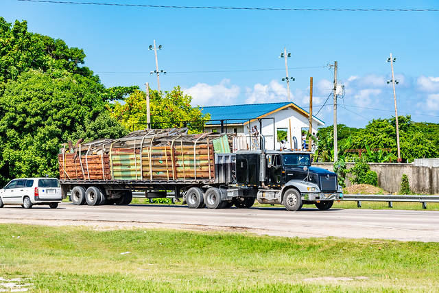 Truck Spotting Jamaica.