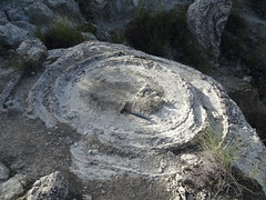 Megasismitas en depósitos lacustres - Camino de la Cañada, Galera (Granada, España) - 39