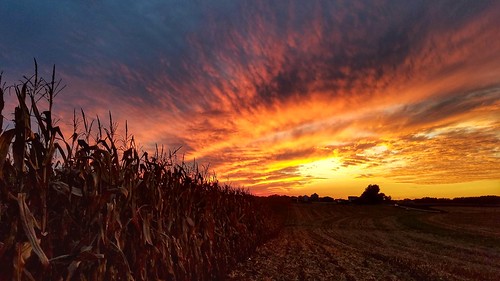 sunset silhouettes fireinthesky sky dusk harvest field cornfield illinois countrysky rural