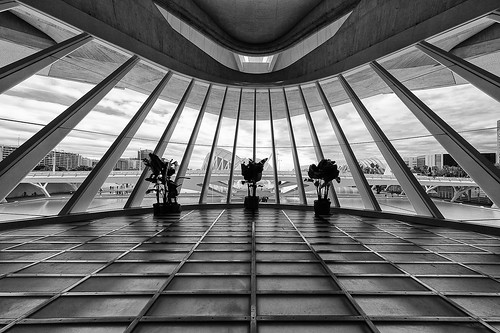 valencia provinzvalencia spanien es architecture modern contemporary inside wideangle black white blackandwhite bnw lines view opera calatrava