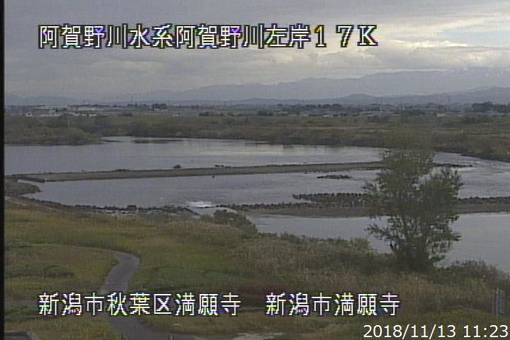 阿賀野 川 ライブ カメラ