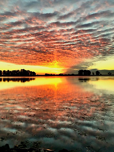 December 3, 2018 Sunrise California Delta! by Rvbridgeman, 50 ft from my place on River Road.
Heard the angels singing on this one.
Sacramento river
rio Vista,