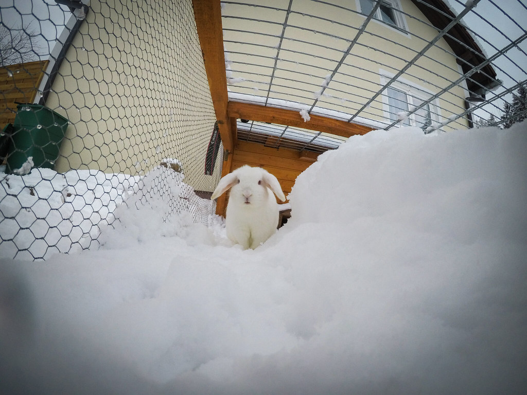 Spielen im Schnee