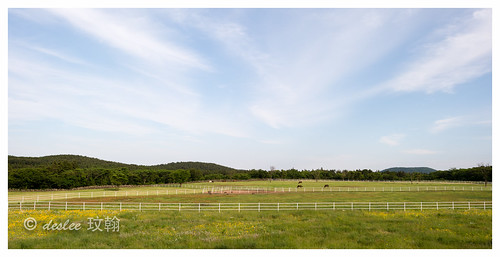 horse cloud grass yahoo google nikon df flickr southkorea jejudo cheju